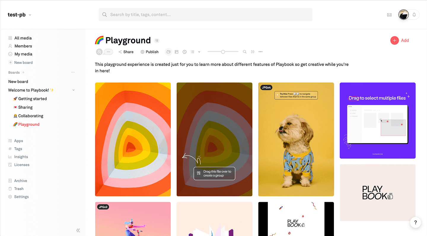 Playbook web app view