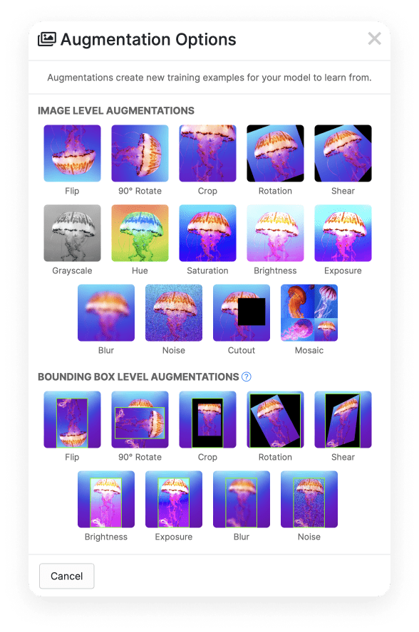 There are a wide array of augmentation options available for us, we can flip, crop, rotate, add a blur, noise, adjust brightness or exposure, and many more.